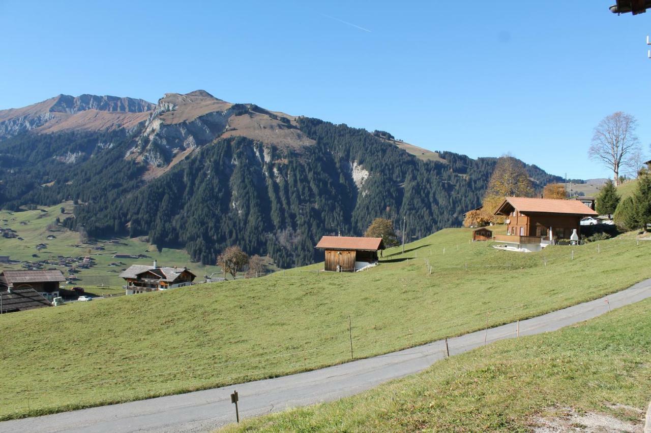 Chalet Weissenberg Lenk Esterno foto